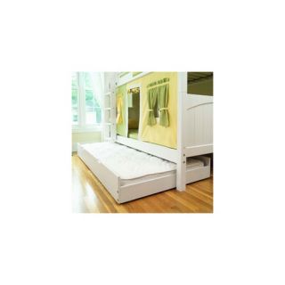 Adult Beds   Bed Size Twin Beds,  Kids