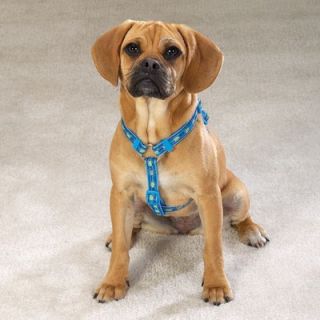 East Side Collection Seaside Ribbon Dog Harness