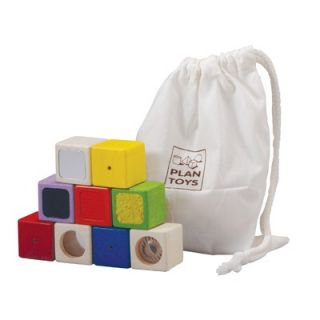 Plan Toys Preschool Activity Block Set   553100