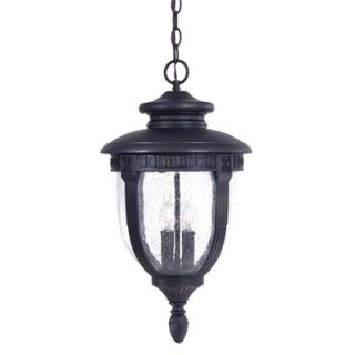 Great Outdoors by Minka Burwick Outdoor Chain Hanging Lantern in