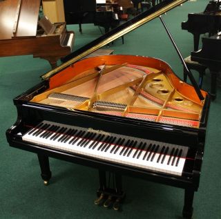 Pearl River Baby Grand Piano 5 3 GP159 GP 159