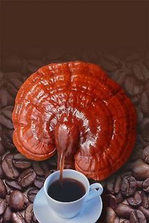 Rich Aroma Healthy Black Coffee 100%Organic Ganoderma Extraction