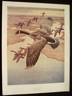 North American Games Print CANADA GOOSE by FRANCIS LEE JAQUES