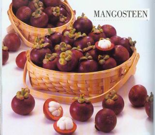 Acai Goji Berry Mangosteen Organic Herbal Tea 2 lb Bulk