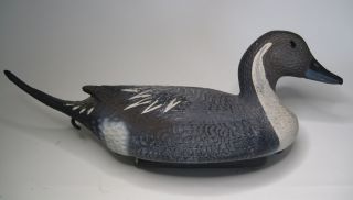 Pintail Drake Duck Decoy Victor Woodstream Lititz PA Plastic Original