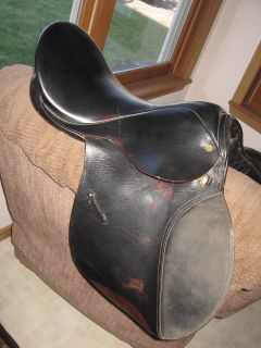  Saddle 17 Collegiate Sr Eventer Event Narrow Tree High withered horse