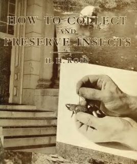  to collect and preserve insects 1949 author ross herbert holdsworth