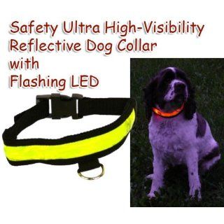 VISIBLE AT NIGHT Ultra High Visibility Dog Collar   SMALL