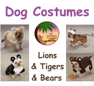 Lions Tigers Bears Oh My Halloween Dog Costumes