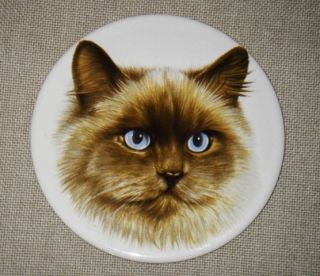 Vtg Hot Plate Cats Kitten Persian Blue Eyes Pans Wall Hanging #507 U.S