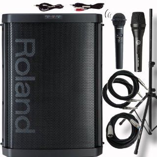 Roland BA 55 Battery Powered Portable Stereo PA System