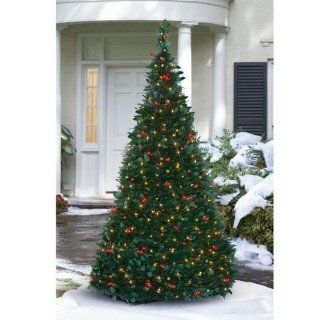 Pre Lit Pull Up Christmas Tree, Clear: Home & Kitchen