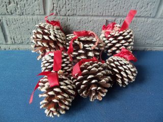 Vintage Real Pine Cone Ornaments 7 Frosted Glitter So Cute
