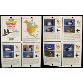 The Complete Hunter Pocket Guide   Diving Duck Id   Case