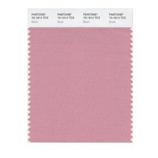 PANTONE SMART 15 1614X Color Swatch Card, Blush   