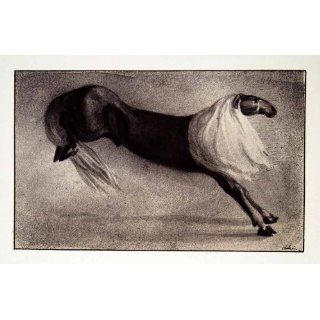 1969 Aquatone Print Alfred Kubin Art Mongrel Horse