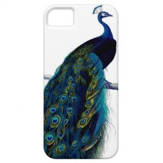 Vintage Blue Elegant Colorful Peacock iPhone 5 Cases