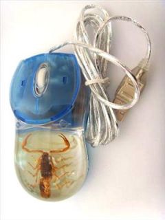 Optical Computer Mouse Blue Case Glow Chinese Golden Scorpion