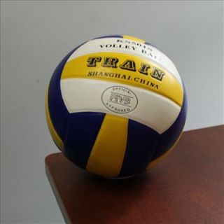 Official Size Volleyball Indoor Soft Inflatable Ball