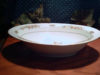 Style House Indore Oval Serving Bowl Fine China Japan