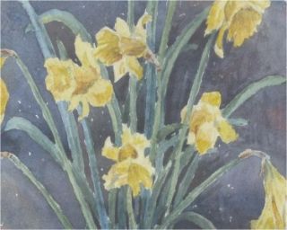 Antique American Watercolour Daffodils w s J Miller