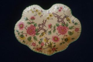 James Kent Old Foley Tray Chinese Rose with Birds