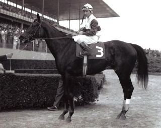 Original Ruffian Horse Racing Photo 1975 Triple Crown