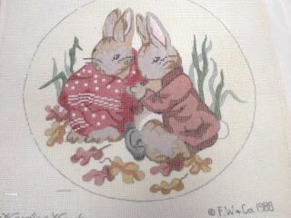 Peter Rabbit Bunny Hand Painted Needlepoint Canvas