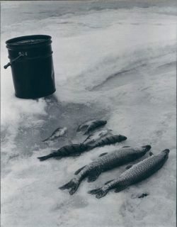 Vintage Ice Fishing Wisconsin Bucket Catch of Day Original Johnson