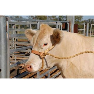 Cattle Rope Halter with Leather Nose Band New