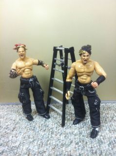 WWE WWF Jakks Jeff Matt Hardy Boys with Ladder