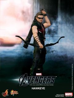 Hot Toys The Avengers Hawkeye Jeremy Renner 12 Figure