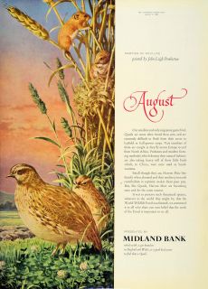 1963 Ad Midland Bank John Leigh Pemberton Quail Mice Original Advertising  