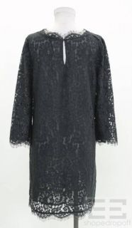 Joie Grey Lace Silk 3 4 Sleeve Shift Dress Size M  