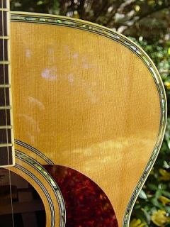 Zager EZ Play 80OM Rosewood Acoustic OM Size Guitar  