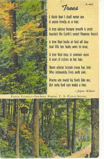 1945 Trees Scenes Joyce Kilmer Poem Vintage Postcard  