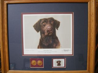 Framed Collection Edition Jim Killen Chocolate Lab Lithograph Print
