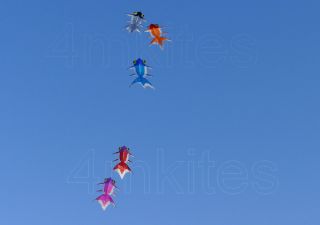 wholesale 5PCS goldfish kites/red /pink/gray/orange/blue/with flying