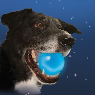 Meteorlight K 9 LED Ball Floats Lights Up Stays Lit Night Dark Puppy