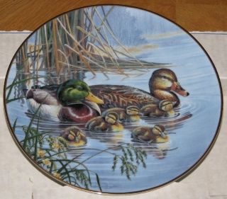 Bruce Langton Family Outing Duck Families 1st Plate COA