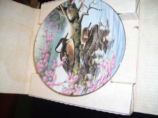 Spring Arrivals by Bruce Langton Collector Duck Plate 1991