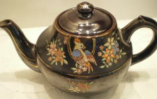 Dark Brown Japanese Teapot Painted Birds Flowers