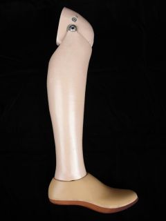 Vintage Otto Bock Wooden Prosthesis Prosthetic Leg w Knee Joint & Foot