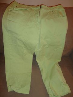 Womens Denim Co Green Pants Size 18W
