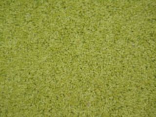 Lime Green Shag Rug 6 x 9 New Great Rug for Childs Room Free