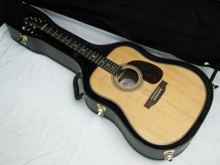 Luna Americana 50 Acoustic Dreadnought Guitar New AMD50 w Hard Case