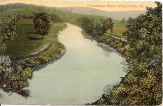 Casselman River Meyersdale PA Postcard