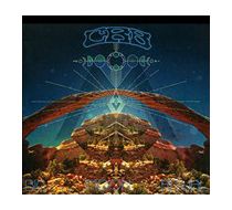 Big Moon Ritual 6 5 by Chris Robinson Brotherhood The CD, Jun 2012