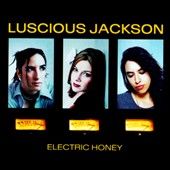 Electric Honey by Luscious Jackson CD, Jun 1999, Grand Royal USA