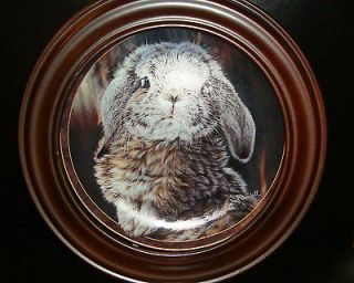 All Ears Bradford Exchange Collector Plate with wood frame